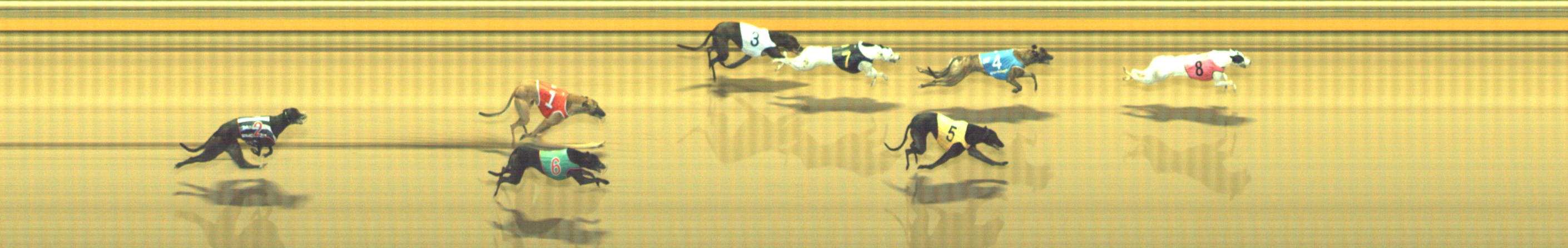 Photo finish for Geelong Race 9