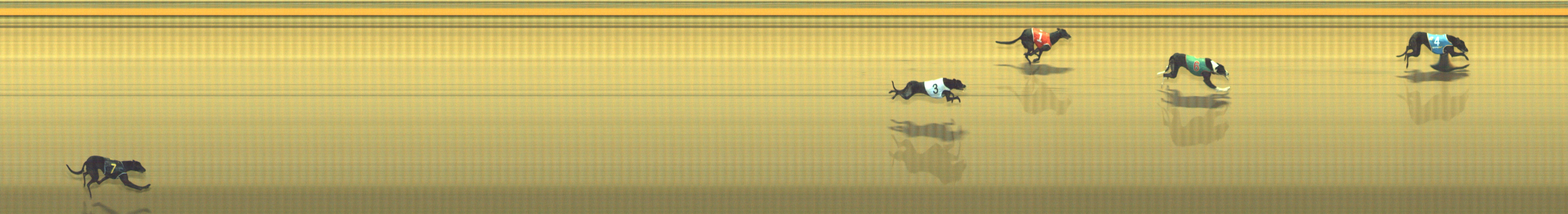 Photo finish for Geelong Race 10