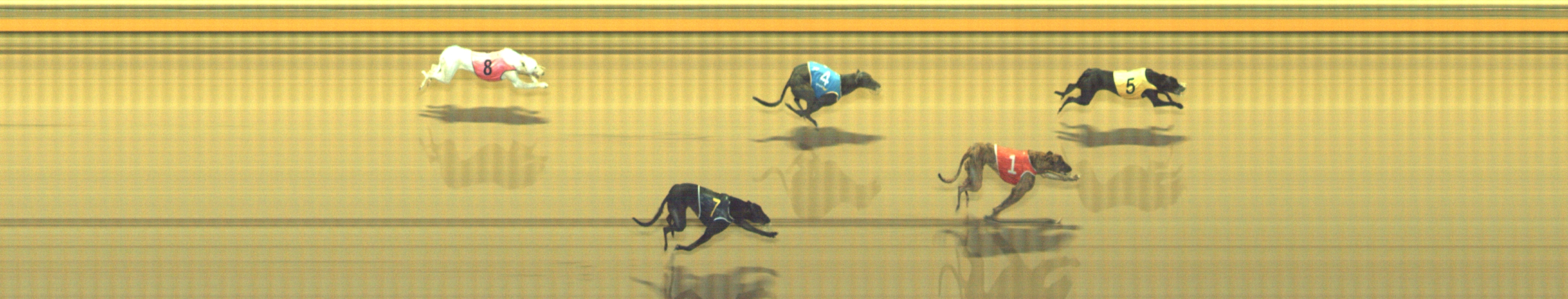 Photo finish for Geelong Race 11