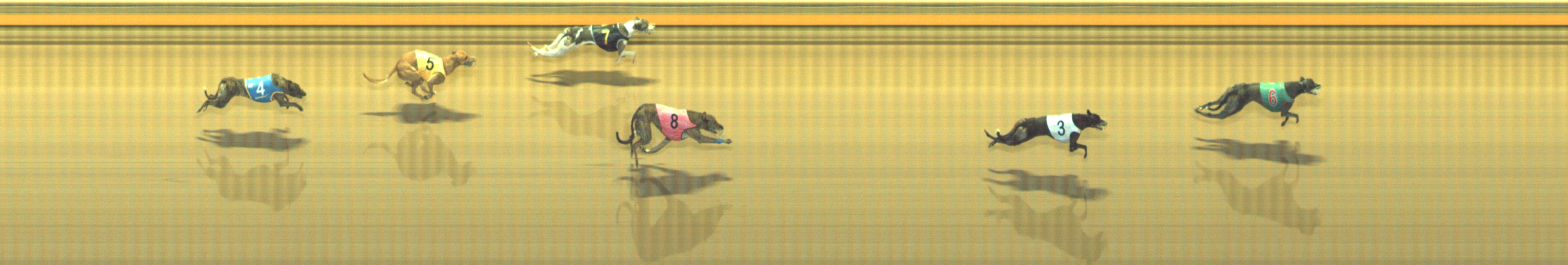 Photo finish for Geelong Race 12