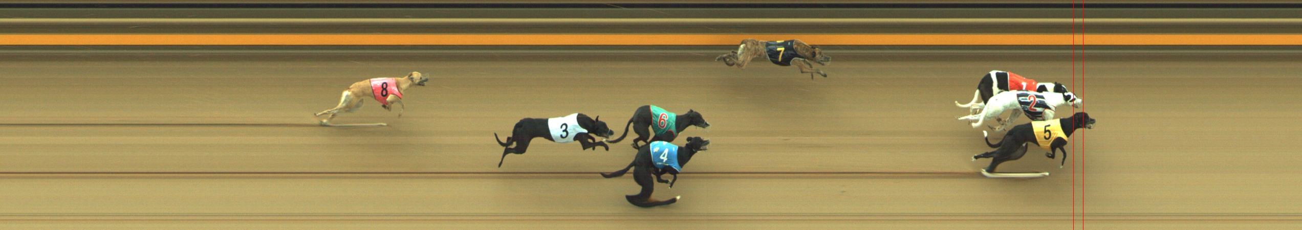 Photo finish for Geelong Race 1