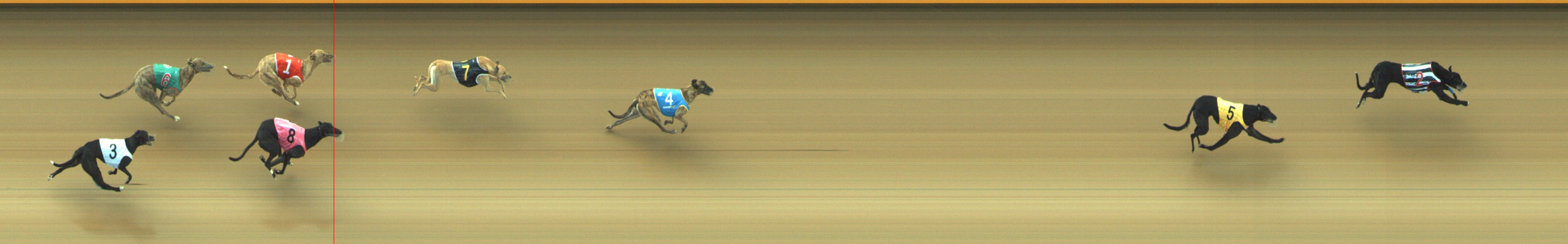 Photo finish for Geelong Race 2