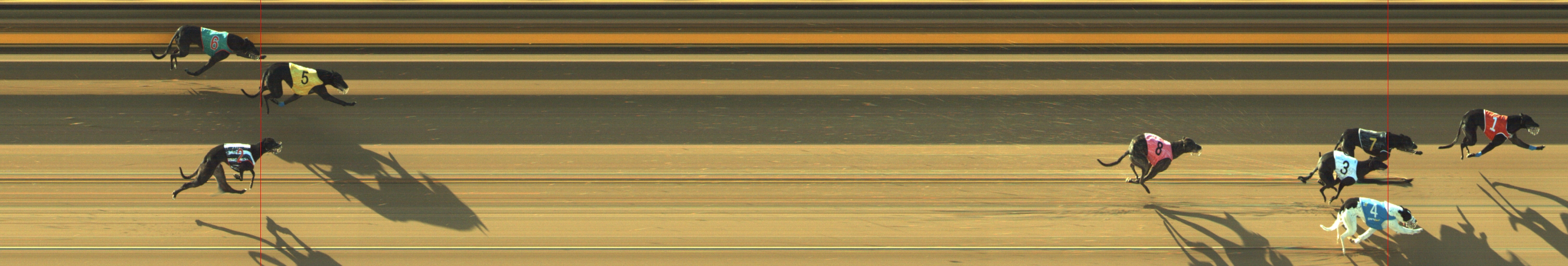 Photo finish for Geelong Race 3