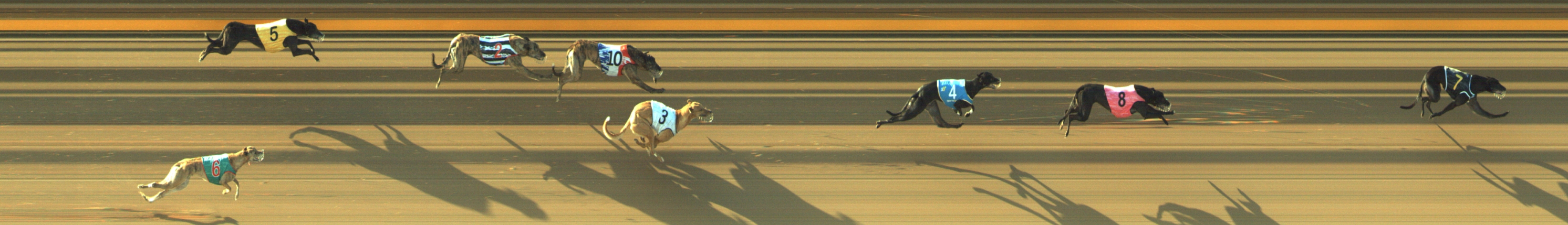 Photo finish for Geelong Race 4