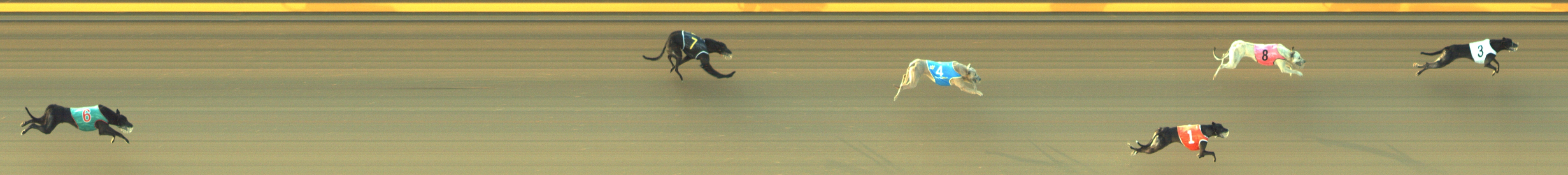 Photo finish for Geelong Race 6