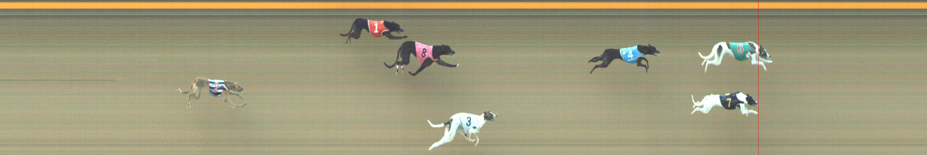 Photo finish for Geelong Race 7