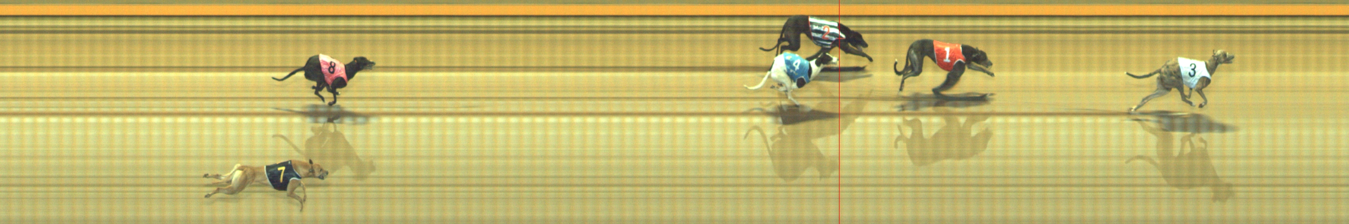 Photo finish for Geelong Race 8