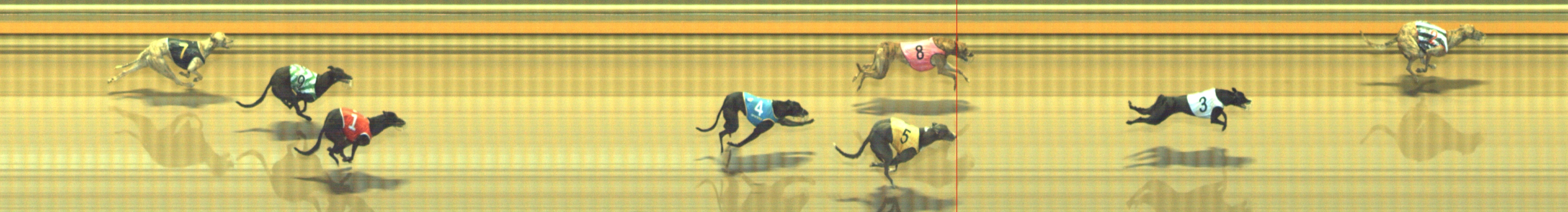 Photo finish for Geelong Race 9