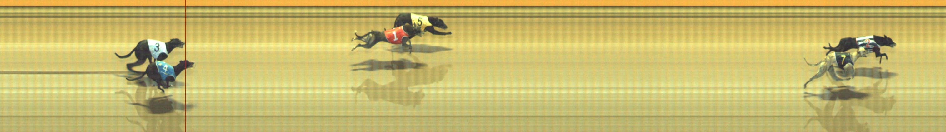 Photo finish for Geelong Race 10