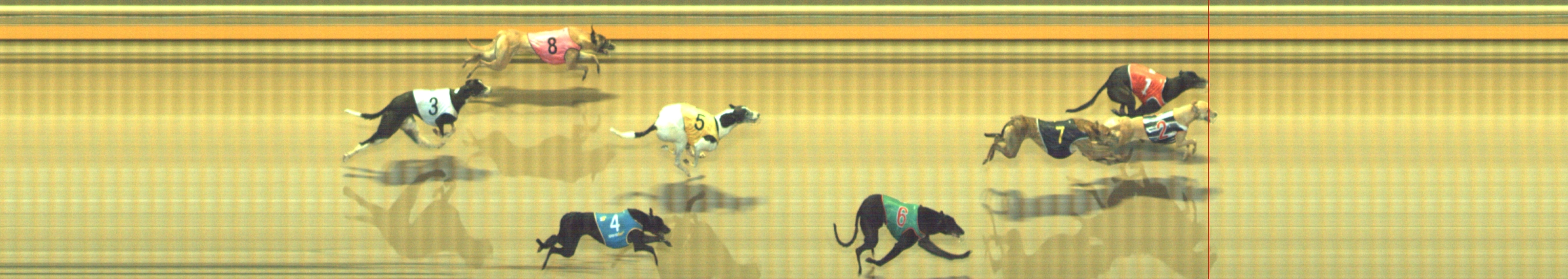 Photo finish for Geelong Race 11