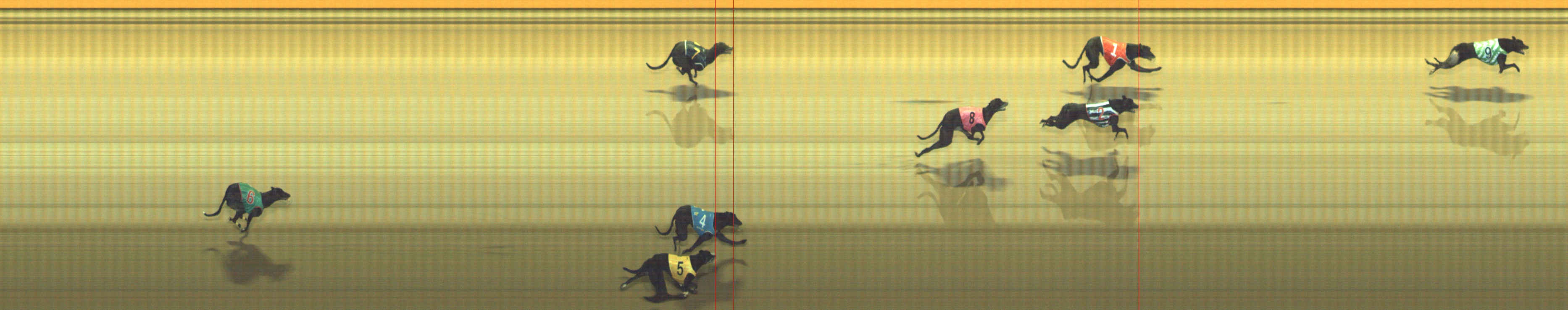 Photo finish for Geelong Race 12