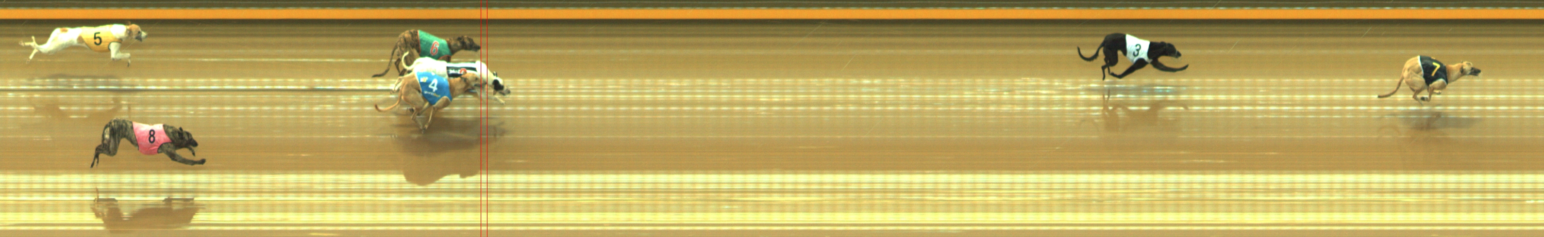 Photo finish for Geelong Race 1