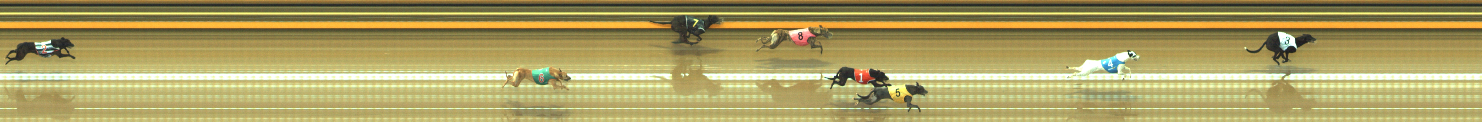 Photo finish for Geelong Race 2