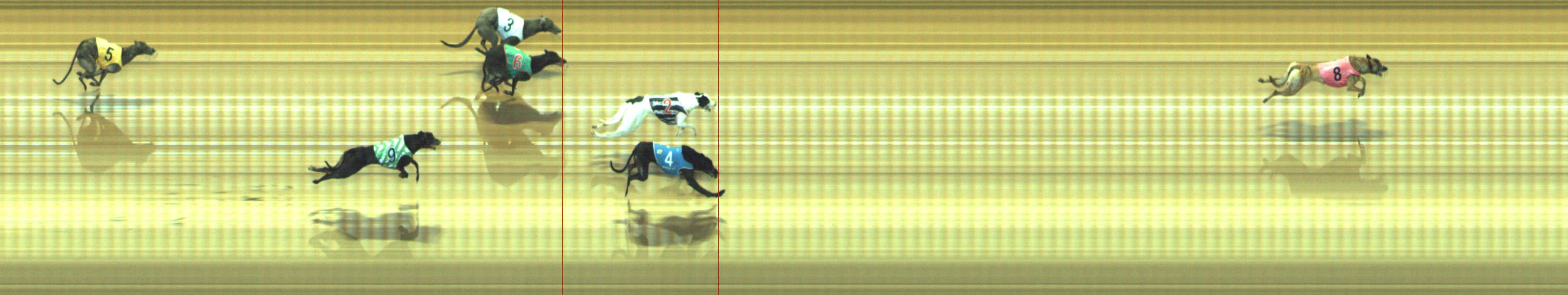 Photo finish for Geelong Race 3