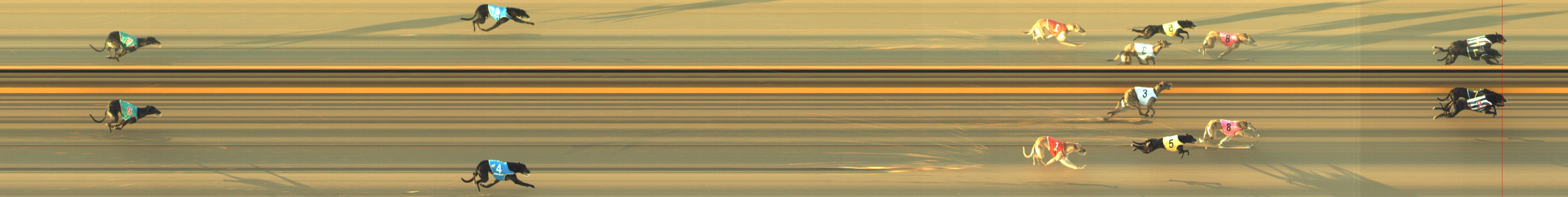 Photo finish for Geelong Race 1