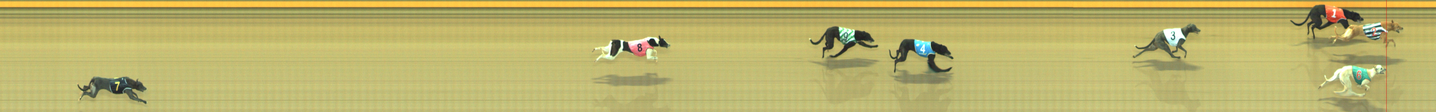Photo finish for Geelong Race 2