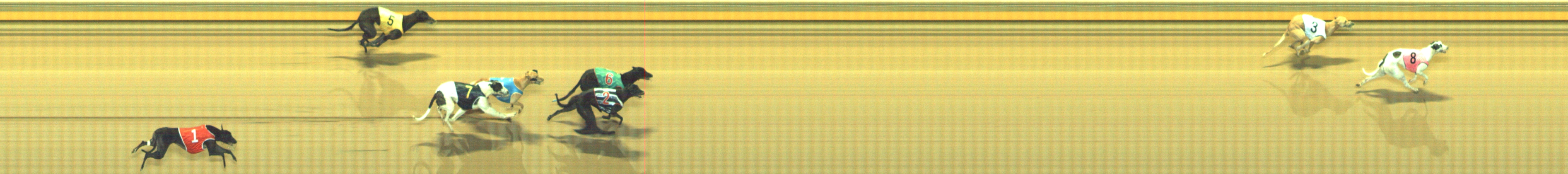 Photo finish for Geelong Race 3