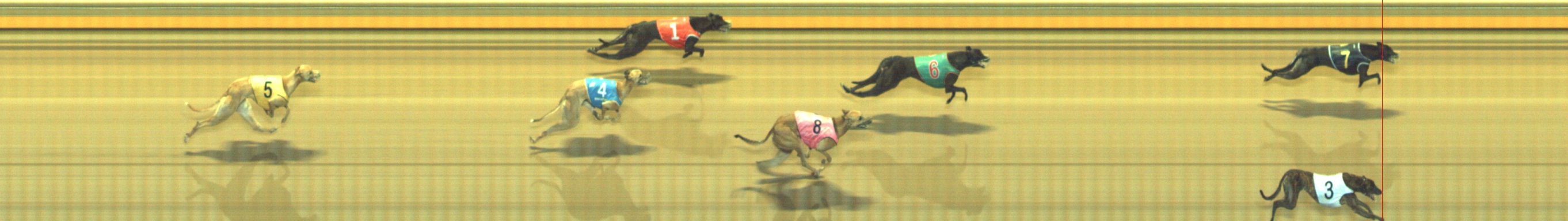 Photo finish for Geelong Race 4
