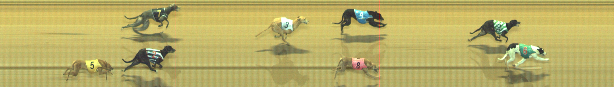 Photo finish for Geelong Race 5
