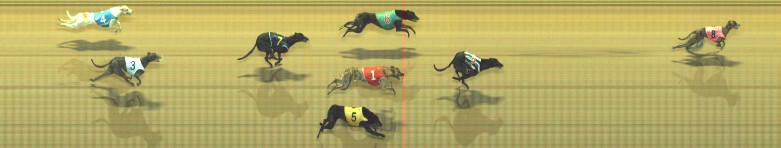 Photo finish for Geelong Race 6
