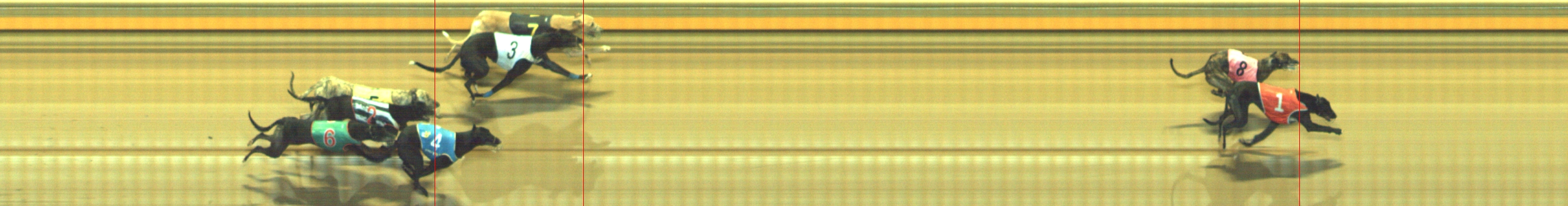 Photo finish for Geelong Race 7