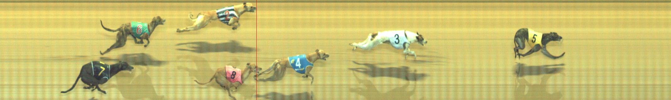 Photo finish for Geelong Race 9