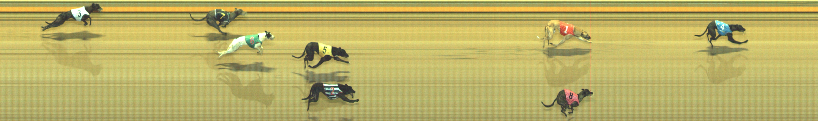 Photo finish for Geelong Race 10