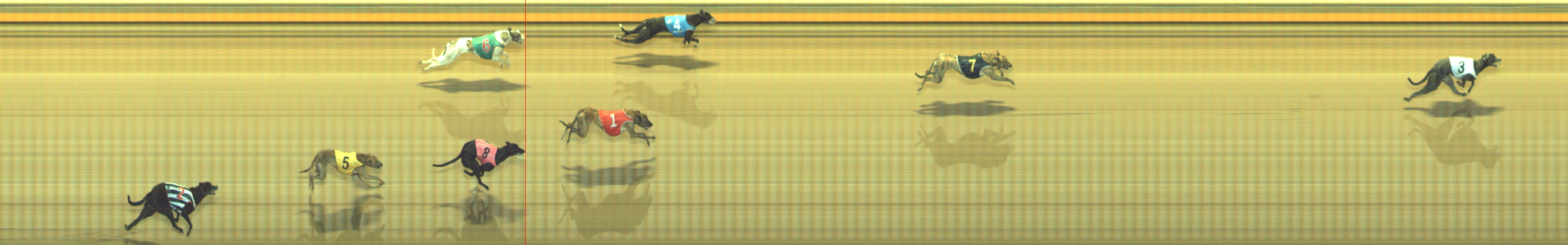 Photo finish for Geelong Race 11