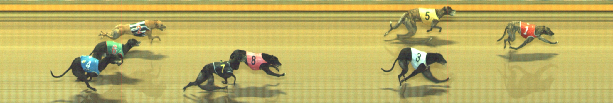Photo finish for Geelong Race 12