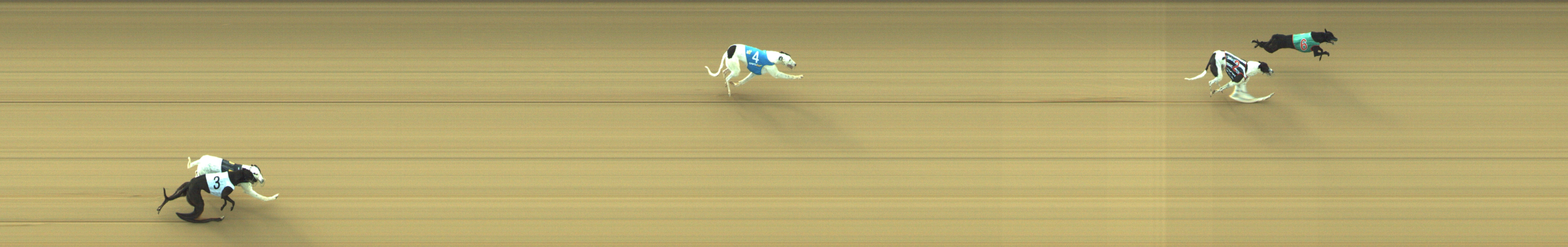 Race result finish photo