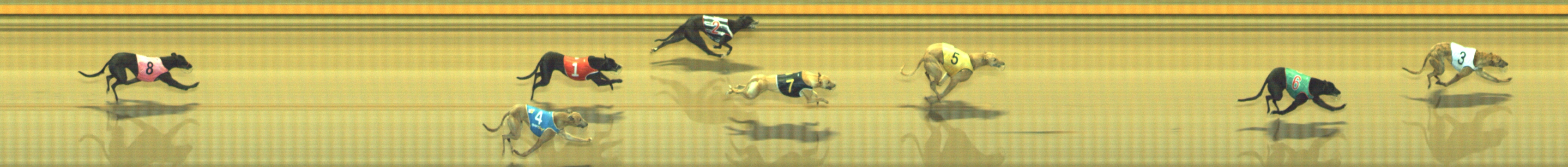 Photo finish for Geelong Race 1