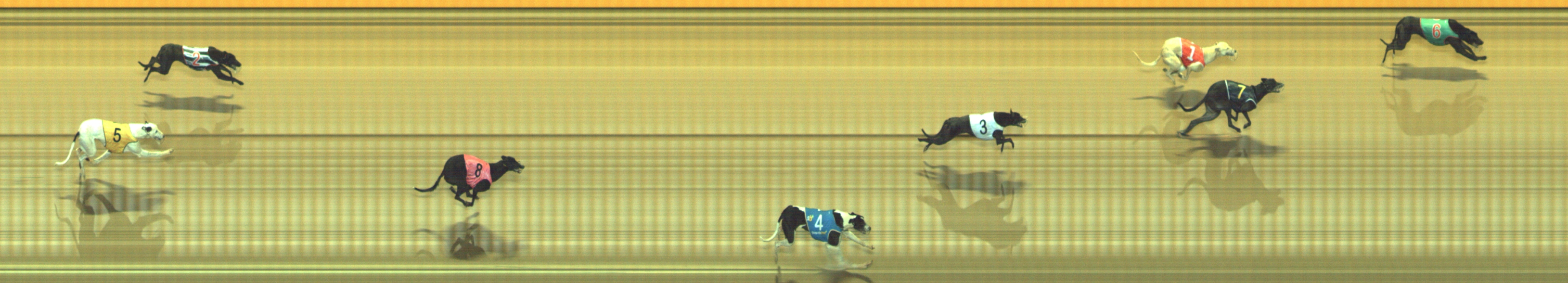 Photo finish for Geelong Race 2