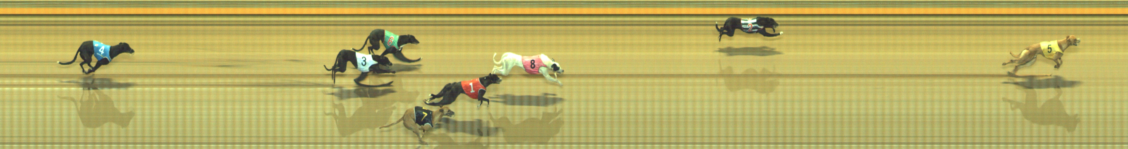 Photo finish for Geelong Race 3