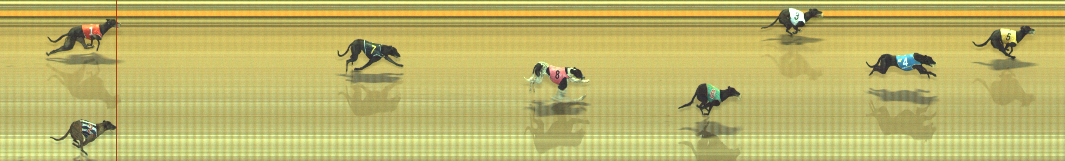 Photo finish for Geelong Race 4