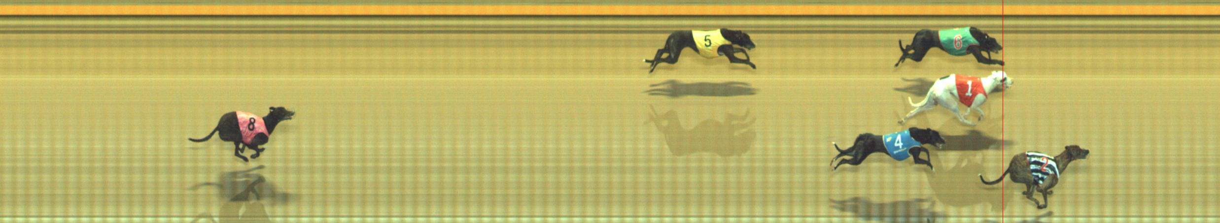 Photo finish for Geelong Race 5