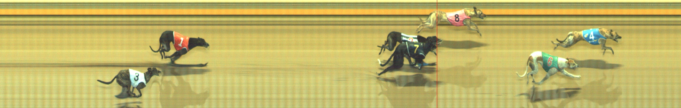 Photo finish for Geelong Race 6