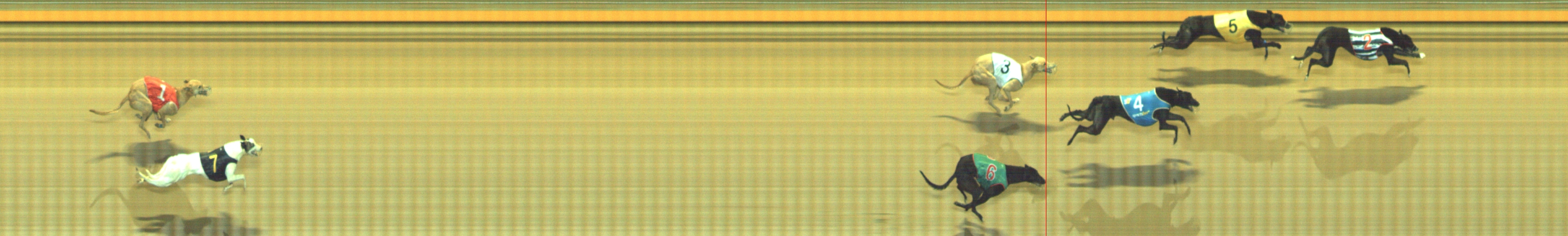 Photo finish for Geelong Race 7