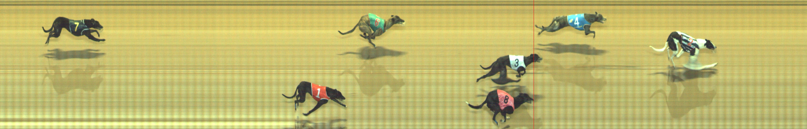 Photo finish for Geelong Race 8