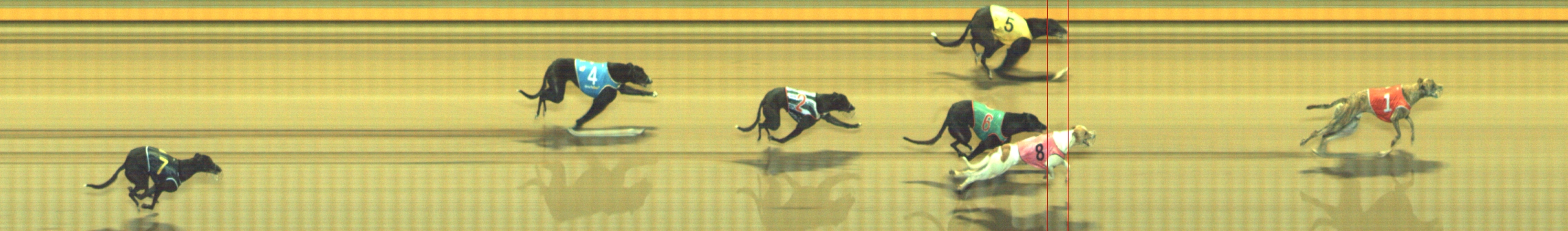 Photo finish for Geelong Race 9