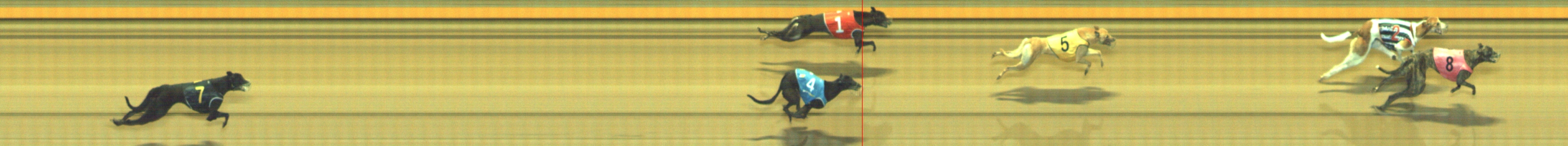Photo finish for Geelong Race 10