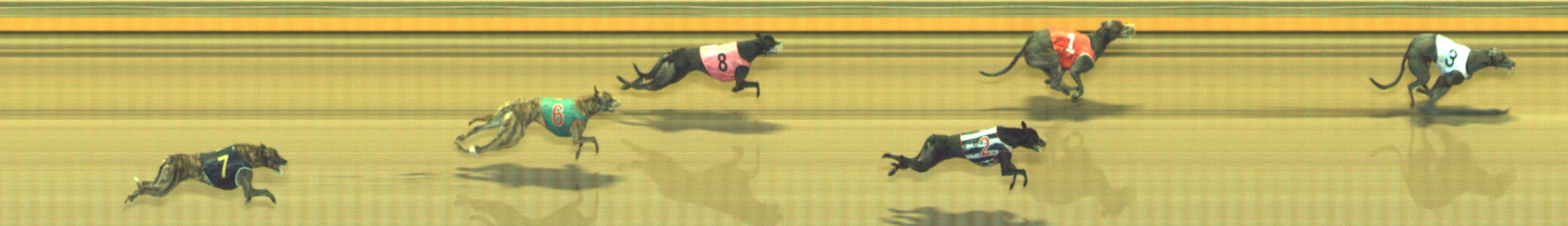 Photo finish for Geelong Race 11