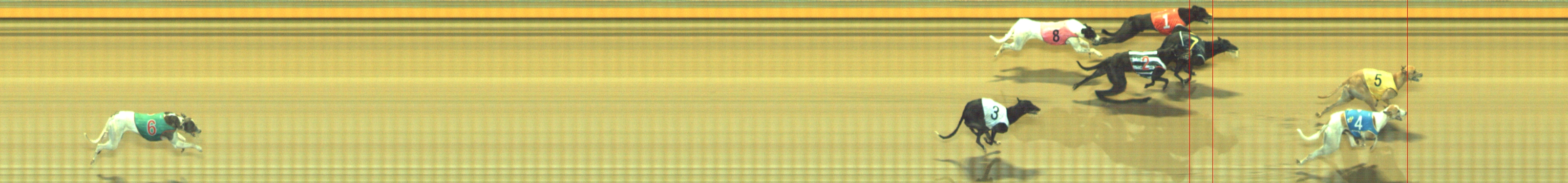 Photo finish for Geelong Race 12