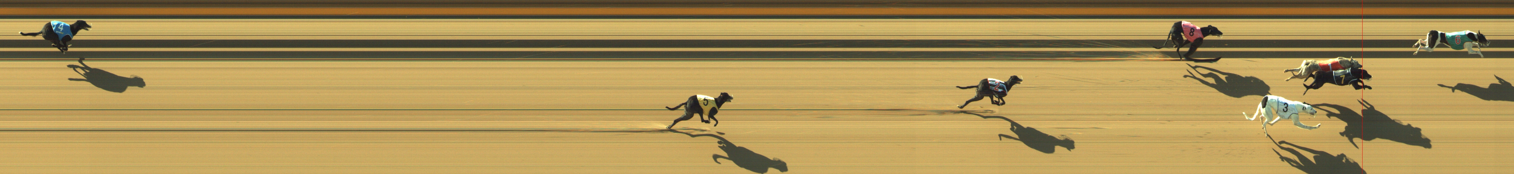 Photo finish for Geelong Race 2