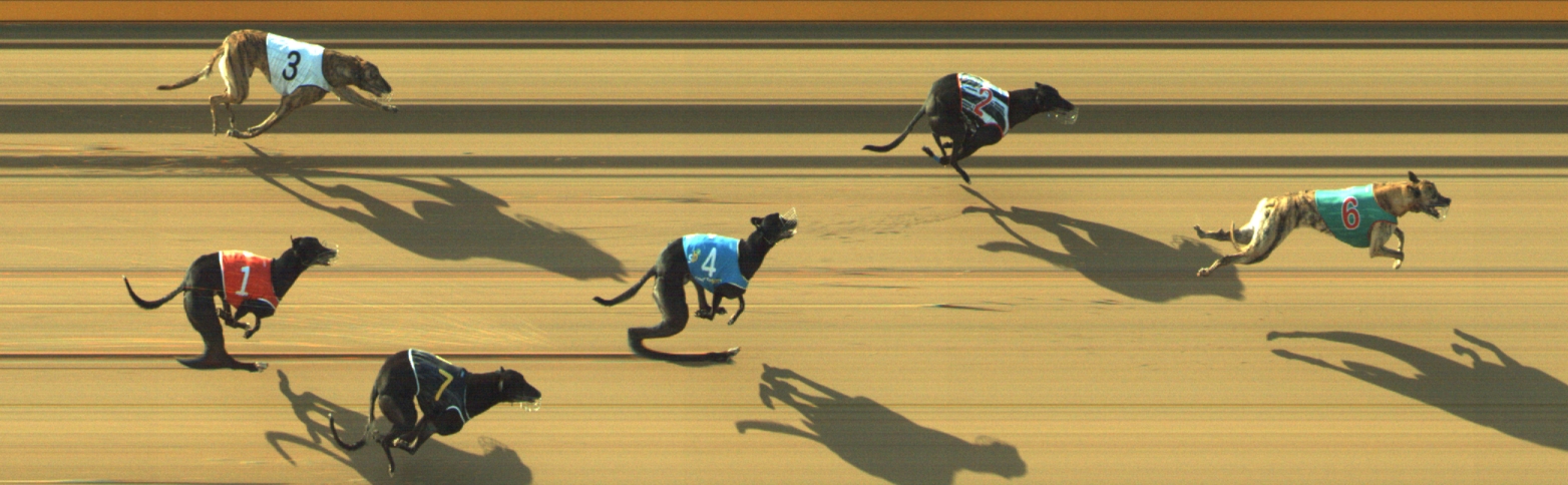 Photo finish for Geelong Race 3