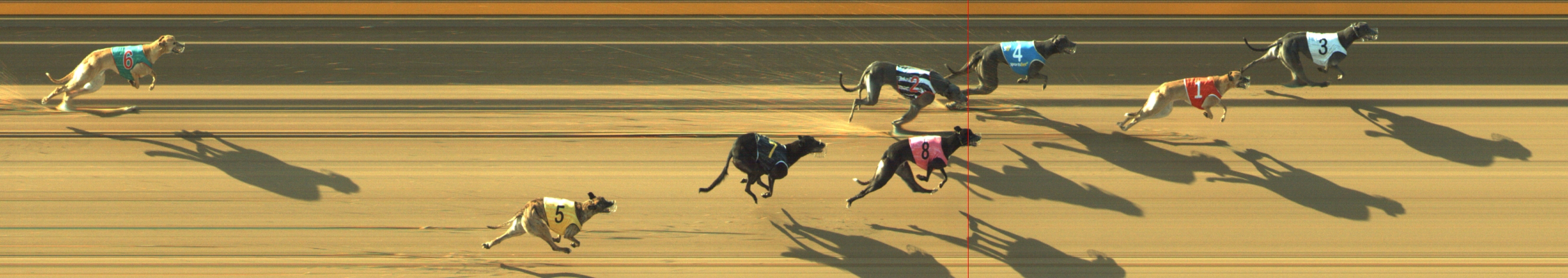 Photo finish for Geelong Race 4