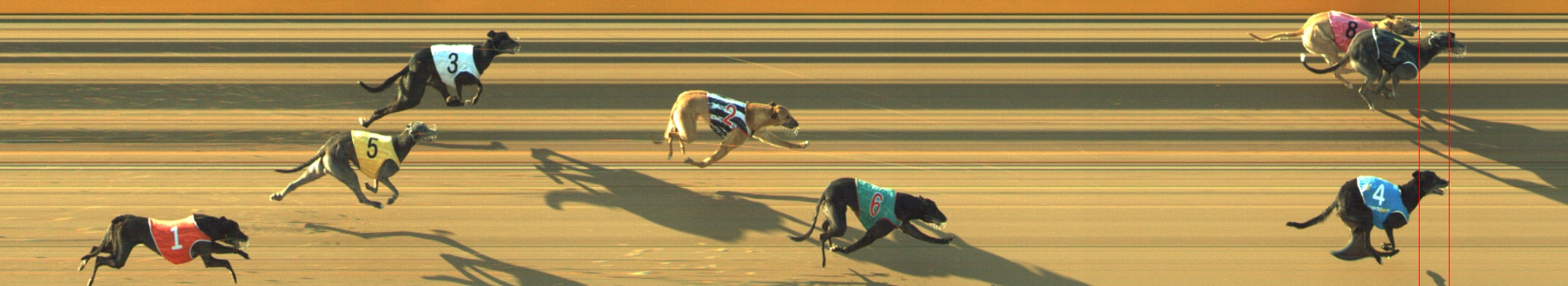 Photo finish for Geelong Race 5