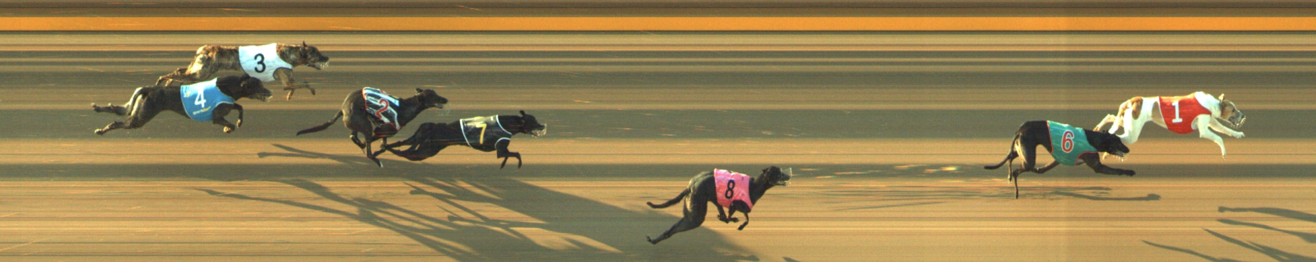 Photo finish for Geelong Race 6