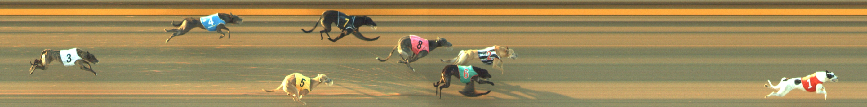 Photo finish for Geelong Race 7