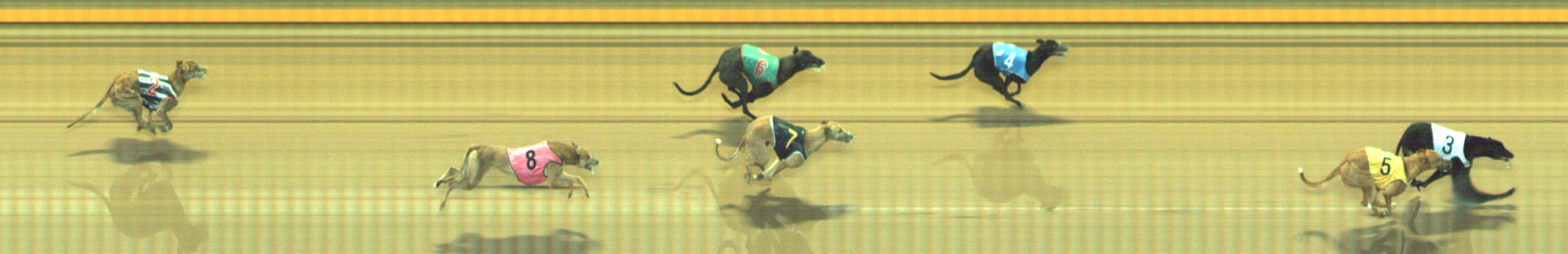 Photo finish for Geelong Race 8