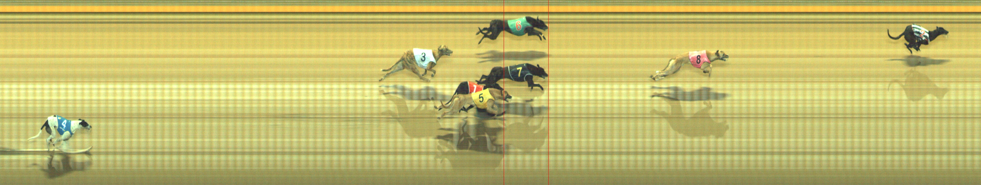 Photo finish for Geelong Race 9